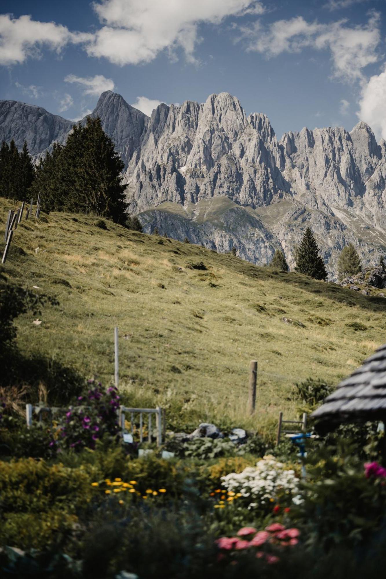 Alpengasthof-Hotel Kopphuette Mühlbach am Hochkönig Εξωτερικό φωτογραφία
